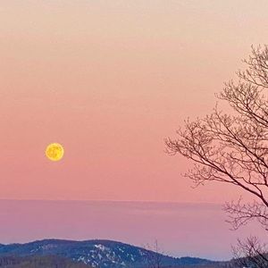 Meet your Posher, Lea